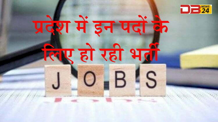 Government Job