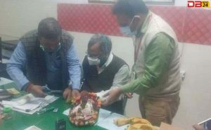 लड्डू गोपाल