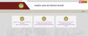 मध्य प्रदेश मुख्यमंत्री युवा उद्यमी योजना