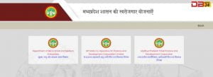 मध्य प्रदेश मुख्यमंत्री युवा उद्यमी योजना