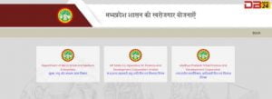 मध्य प्रदेश मुख्यमंत्री युवा उद्यमी योजना
