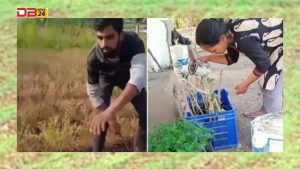 Success Story: Leaving the job and adopted the path of farming