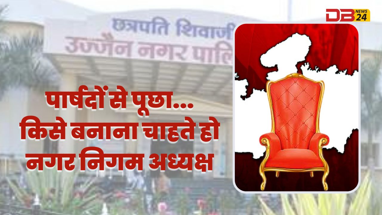 नगर निगम अध्यक्ष
