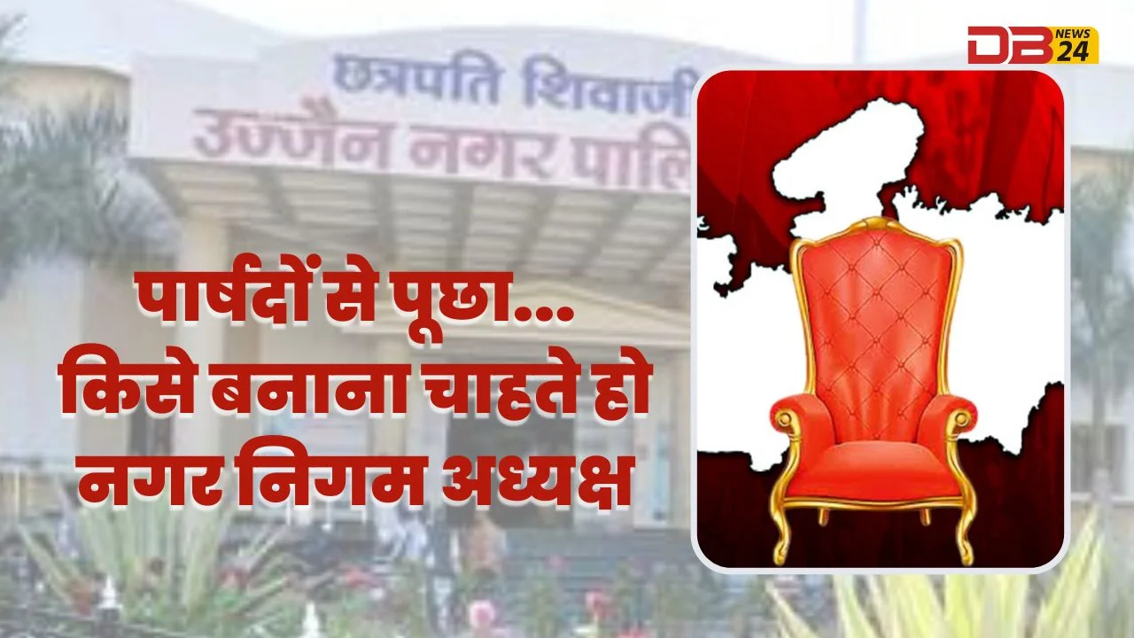 नगर निगम अध्यक्ष