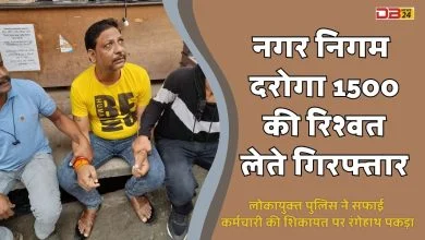नगर निगम