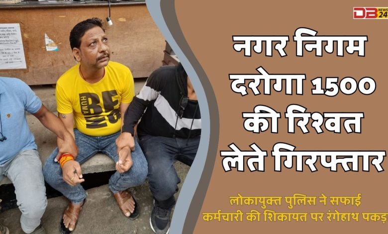 नगर निगम
