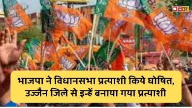 विधानसभा प्रत्याशी