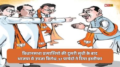 विधानसभा चुनाव
