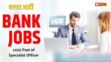 PNB Jobs 2024