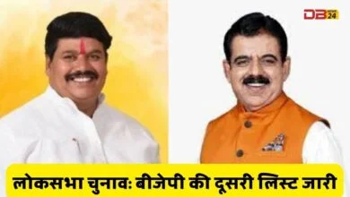 लोकसभा चुनाव