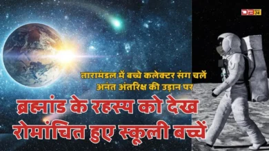 तारामंडल