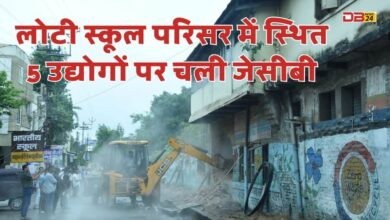 लोटी स्कूल
