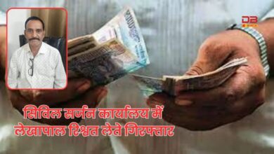 लेखापाल (Accountant)