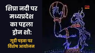 ड्रोन शो
