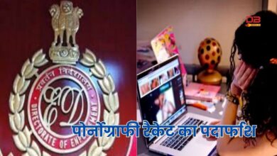 पोर्नोग्राफी