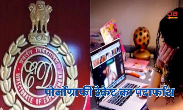 पोर्नोग्राफी